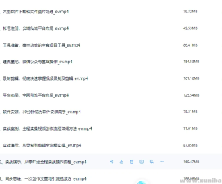 ȫ��������������Դָ����